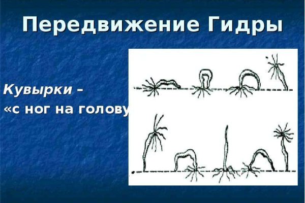 Ссылка кракен супернет маркет
