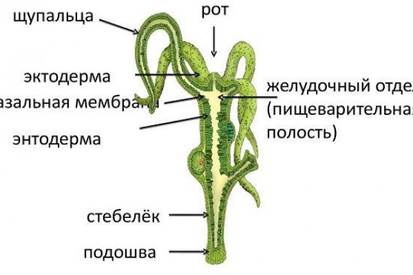 Kraken whitenet официальный сайт