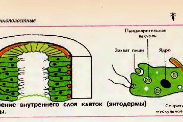 Кракен зеркало орион