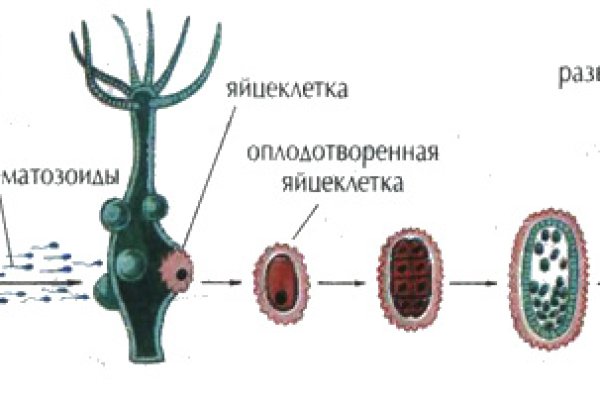 Сайт кракен что это такое