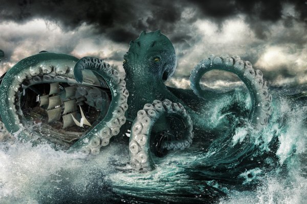 Kraken 12 at