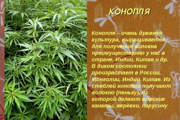 Whitenet магазин