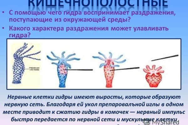 Kra45.cc Вход на сайт главная страница