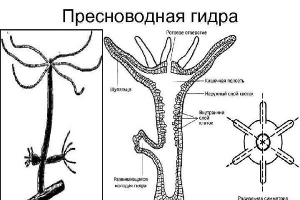 Как пополнить кошелек на кракене супернет