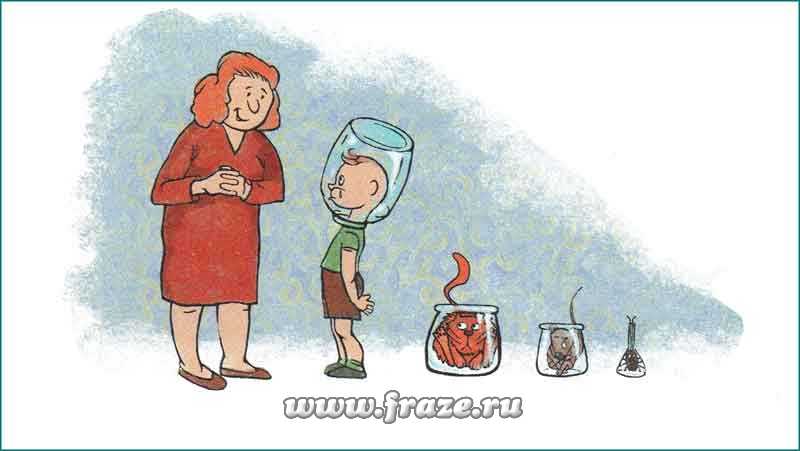 Кракен тг ссылка