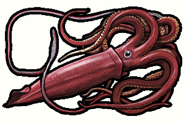 Kraken 17 at